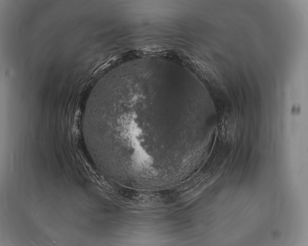 X0000091491346200708161430