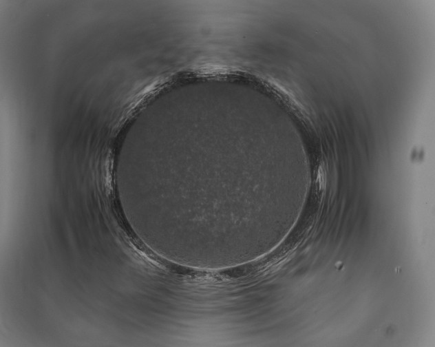 X0000091491348200708161430
