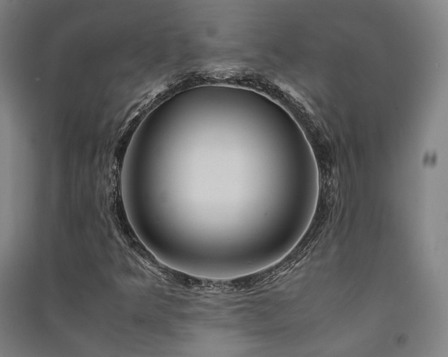 X0000091491349200708161430