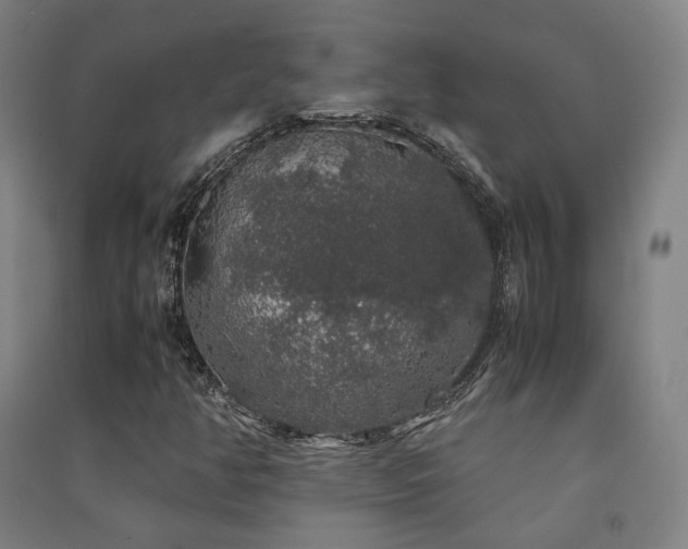 X0000091491350200708161430