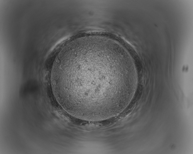 X0000091491351200708161430