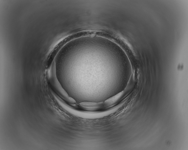X0000091491352200708161430