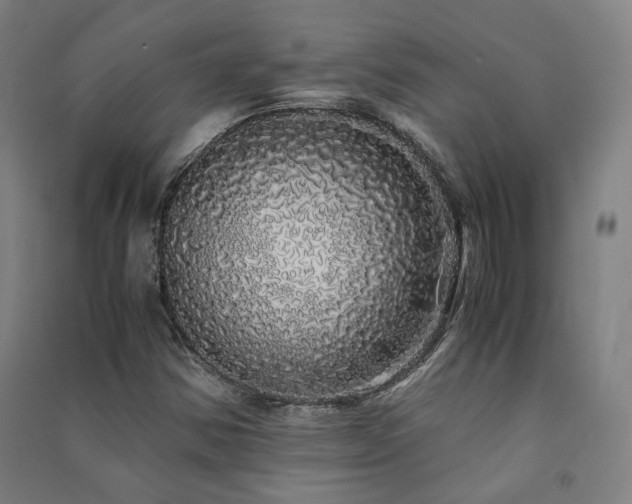 X0000091491354200708161430
