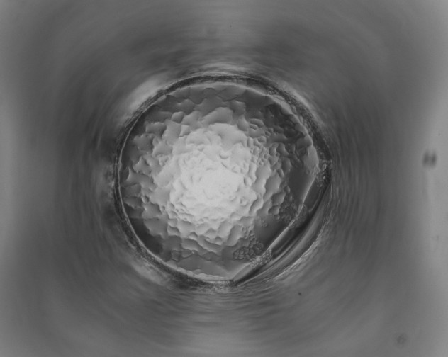 X0000091491355200708161430