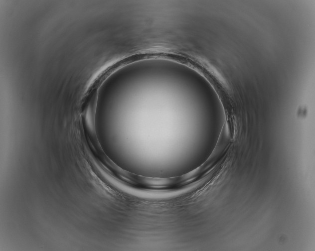 X0000091491356200708161430
