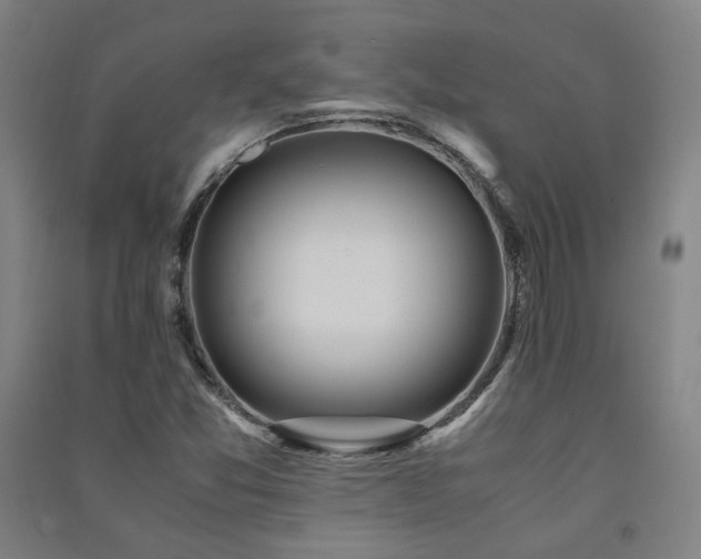 X0000091491357200708161430