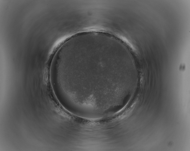 X0000091491358200708161430