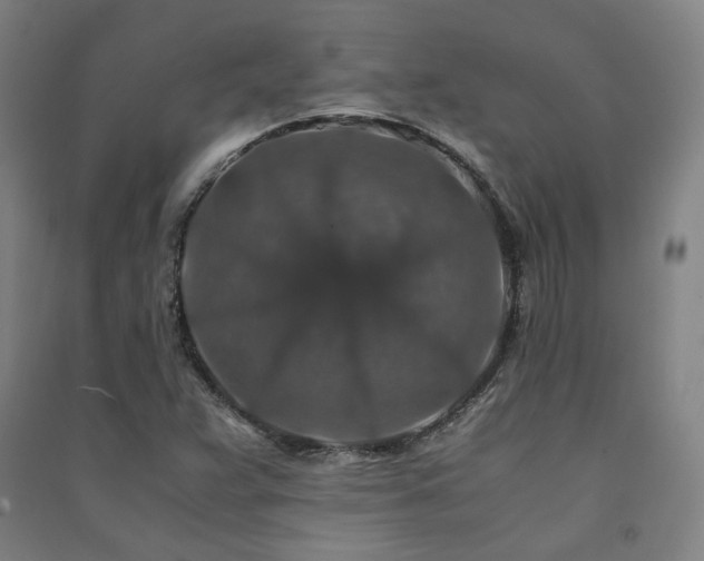 X0000091491359200708161430