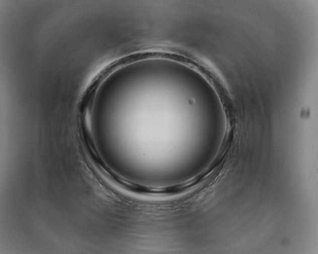 X0000091491360200708161430