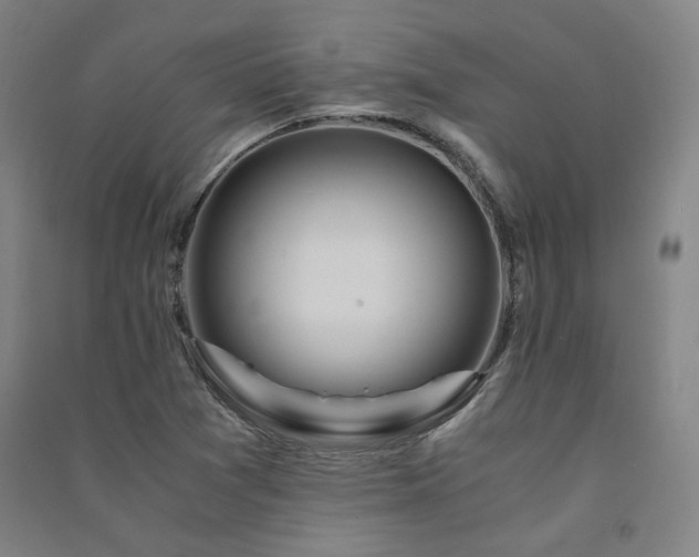 X0000091491361200708161430