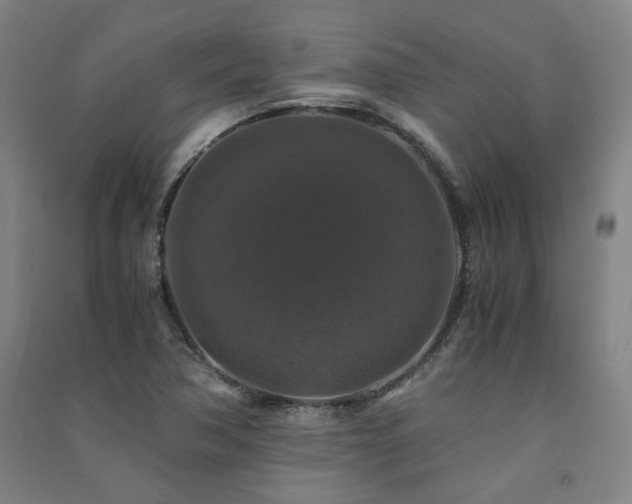 X0000091491362200708161430