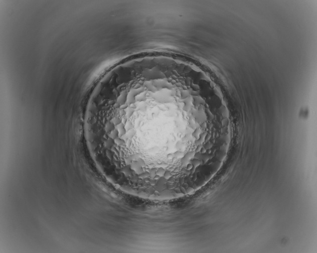 X0000091491363200708161430