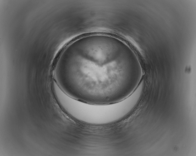 X0000091491364200708161430