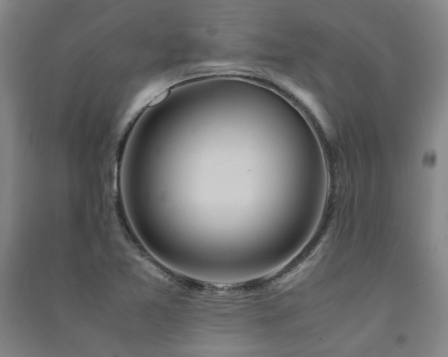 X0000091491365200708161430