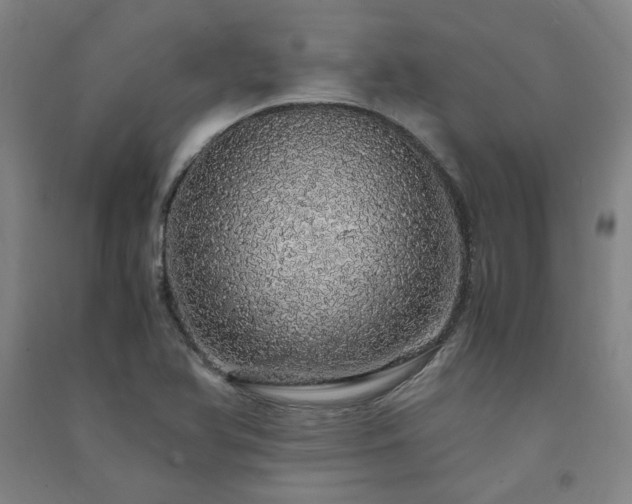 X0000091491366200708161430