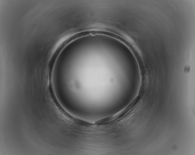 X0000091491368200708161430