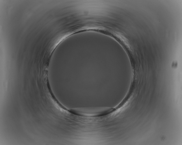 X0000091491369200708161430