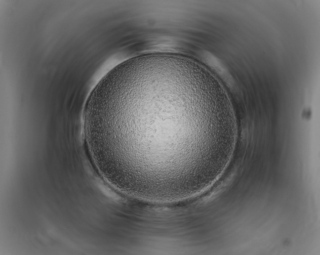X0000091491370200708161430