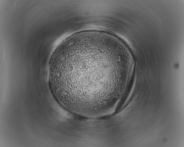 X0000091491371200708161430