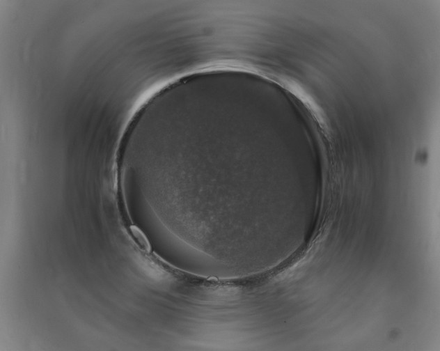X0000091491372200708161430