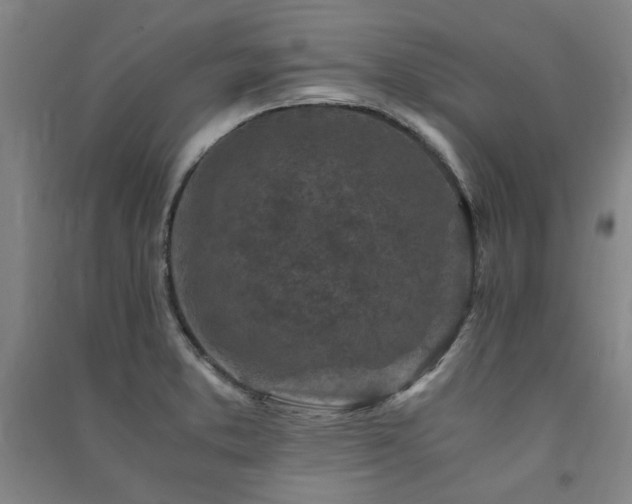 X0000091491373200708161430