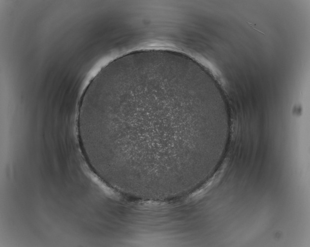 X0000091491374200708161430