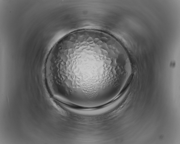 X0000091491375200708161430