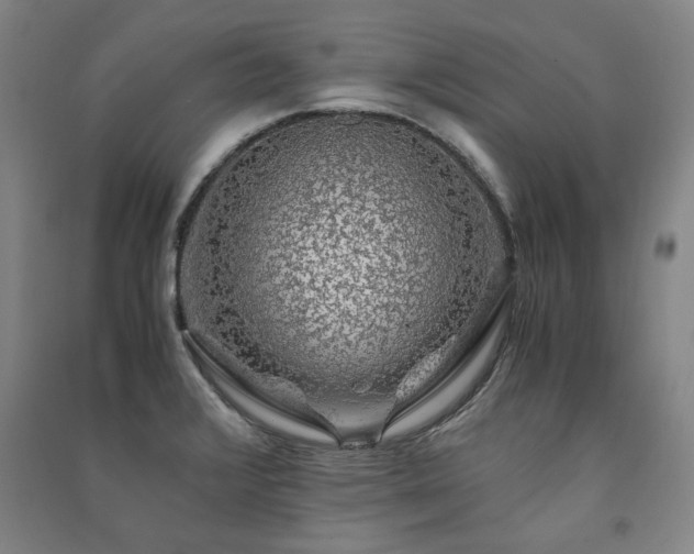 X0000091491376200708161430