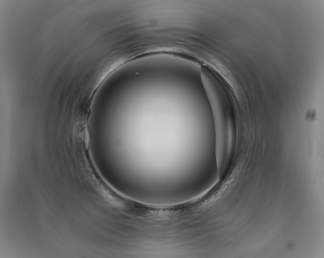 X0000091491377200708161430