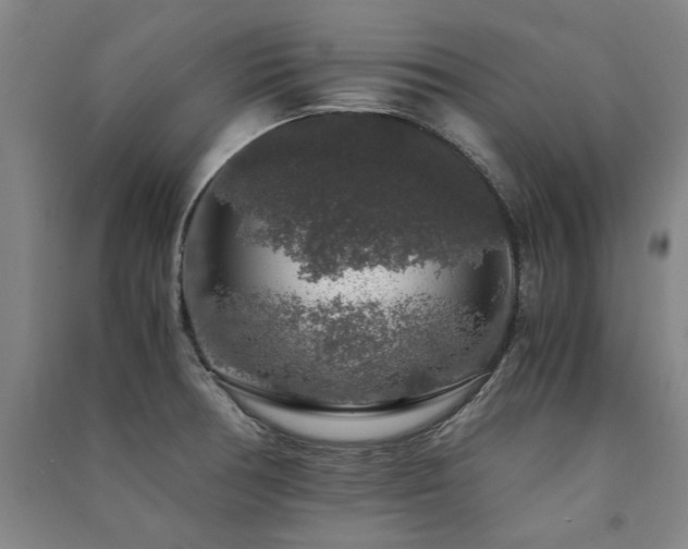 X0000091491378200708161430