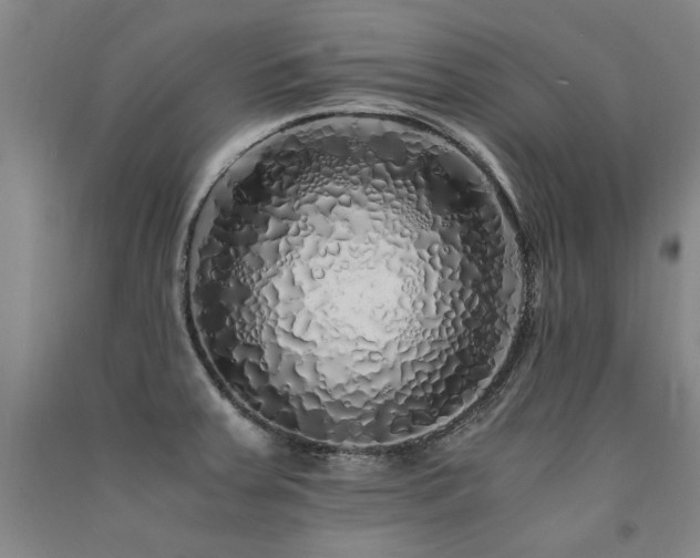 X0000091491379200708161430