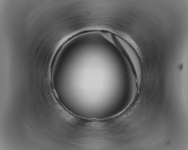 X0000091491380200708161430