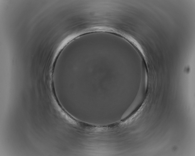 X0000091491381200708161430