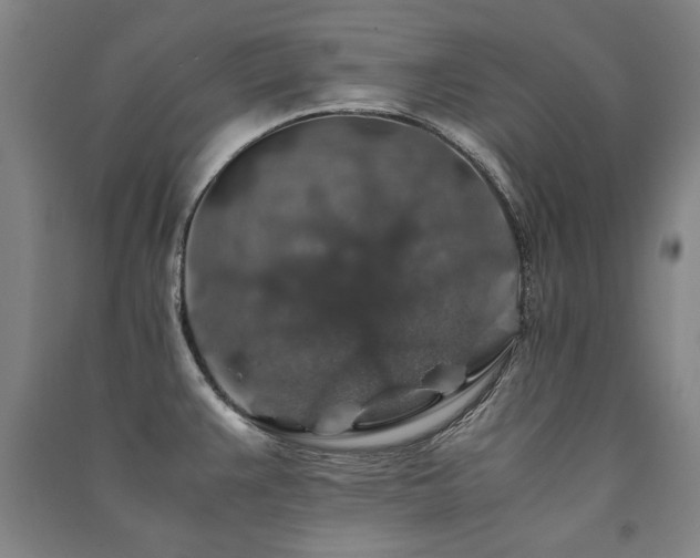 X0000091491383200708161430