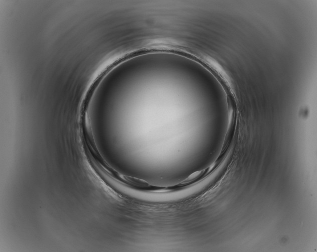 X0000091491384200708161430