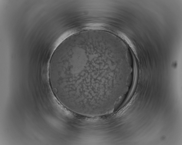 X0000091491386200708161430