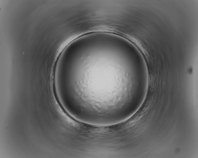 X0000091491387200708161430