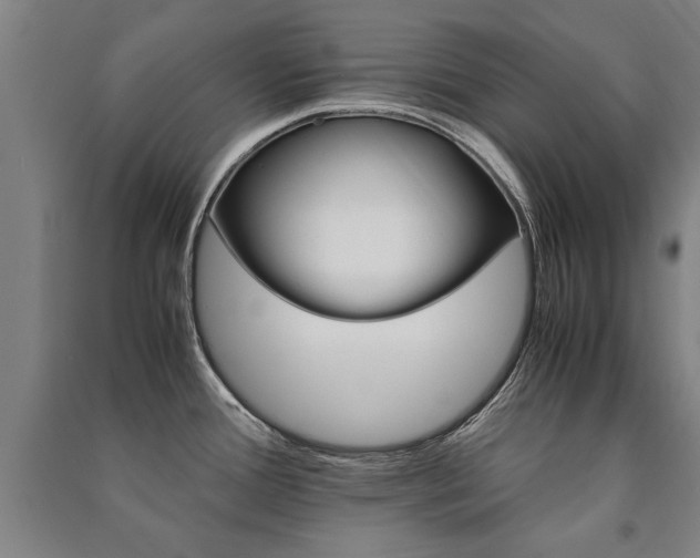 X0000091491388200708161430