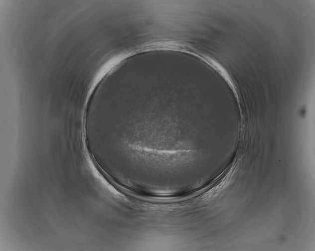 X0000091491389200708161430
