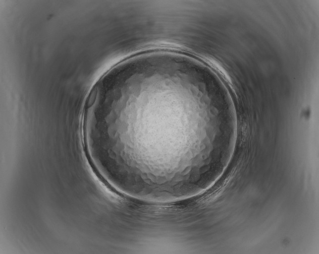 X0000091491391200708161430