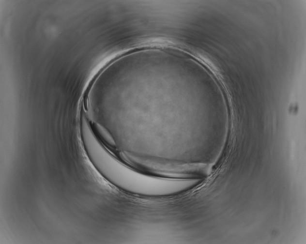 X0000091491392200708161430
