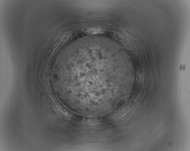 X0000091491393200708161429