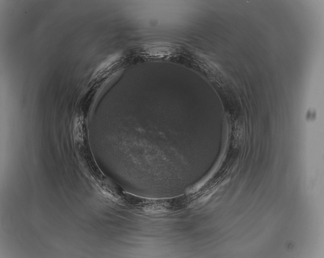 X0000091491394200708161429