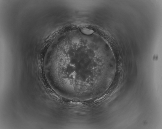 X0000091491397200708161429