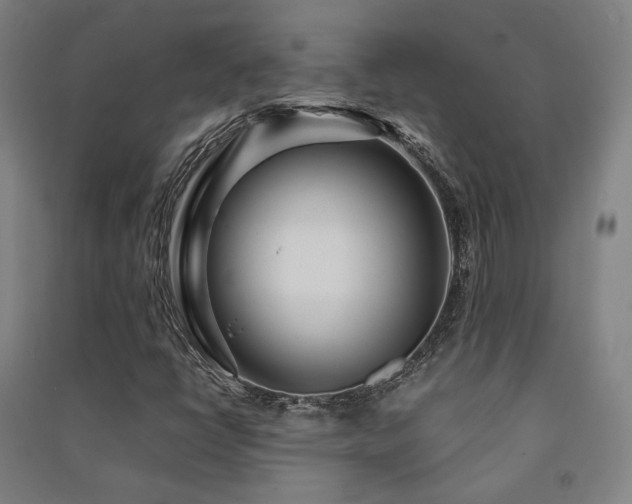 X0000091491398200708161429