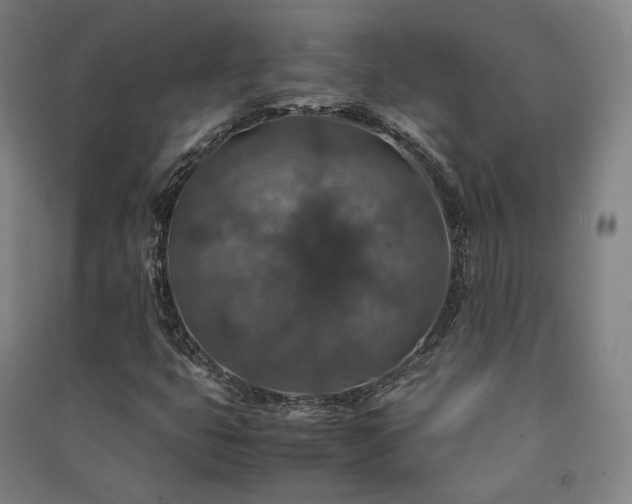 X0000091491399200708161429