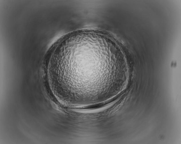 X0000091491400200708161429