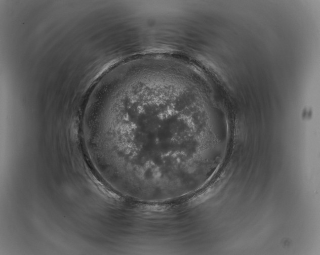 X0000091491401200708161429