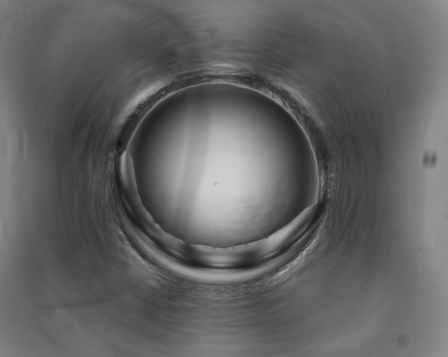X0000091491402200708161429