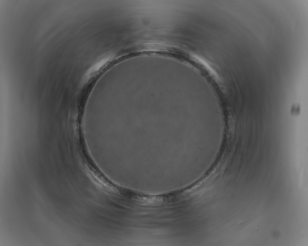 X0000091491403200708161429